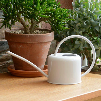 Indoor Watering Can Chalk Coloured Metal Galvanised Steel 1.1L Narrow Spout UK