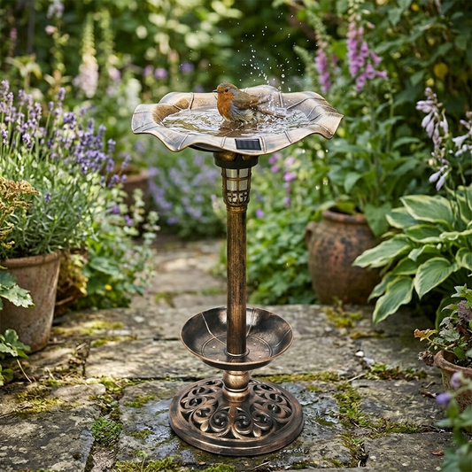 Solar-Powered Bird Bath and Feeder with Integrated Night Light