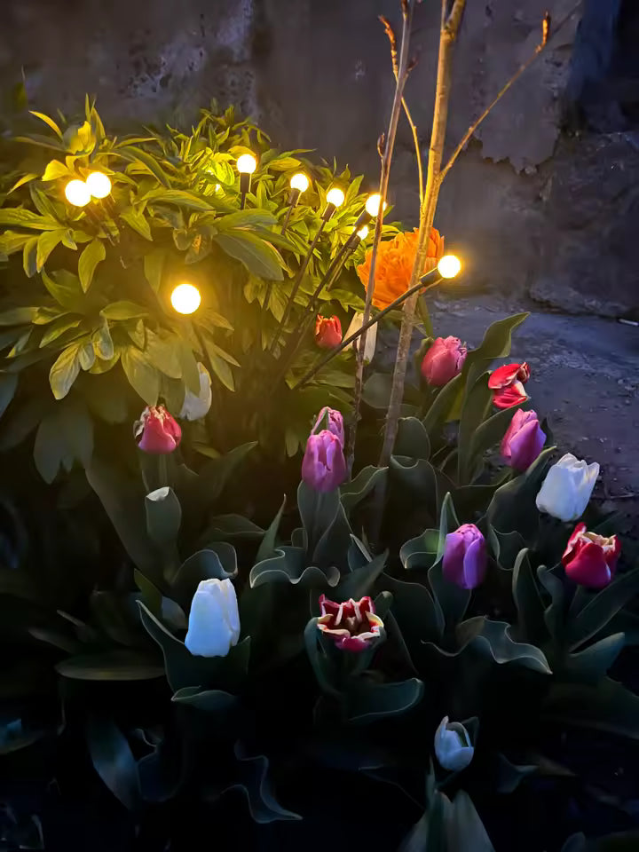 Solar Powered Garden Firefly Lights